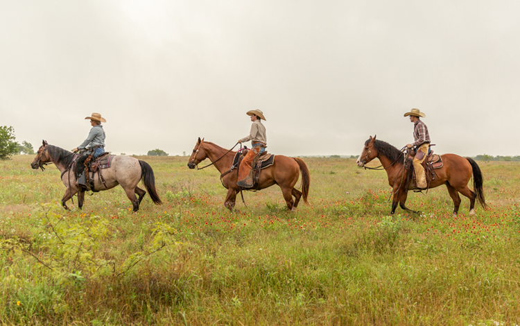 Three men on horseback in field 